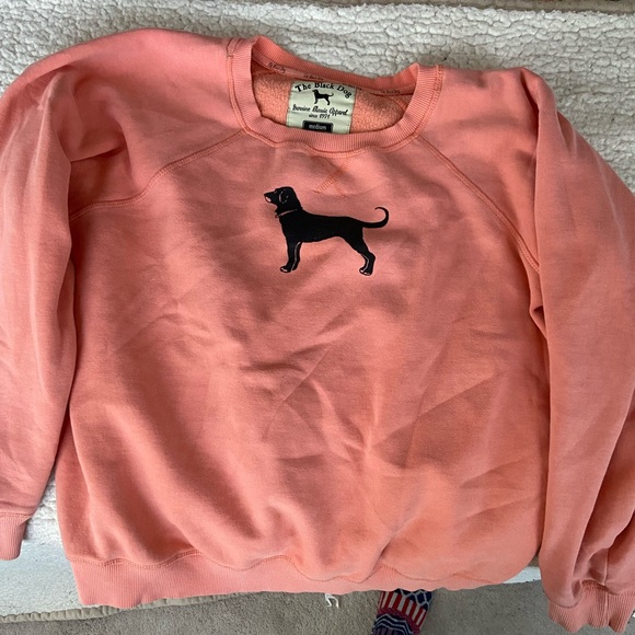 Coral pink Black Dog sweater - Picture 2 of 4